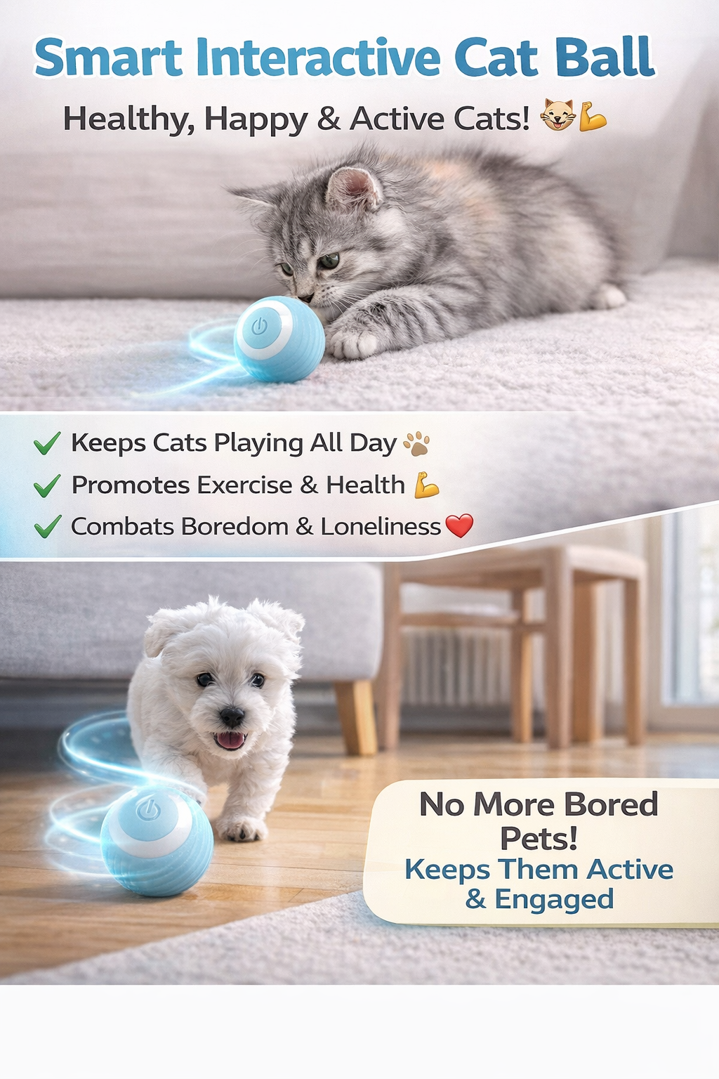 Is your pet bored at home? 
Keeps them active, chasing, and playing no effort needed.