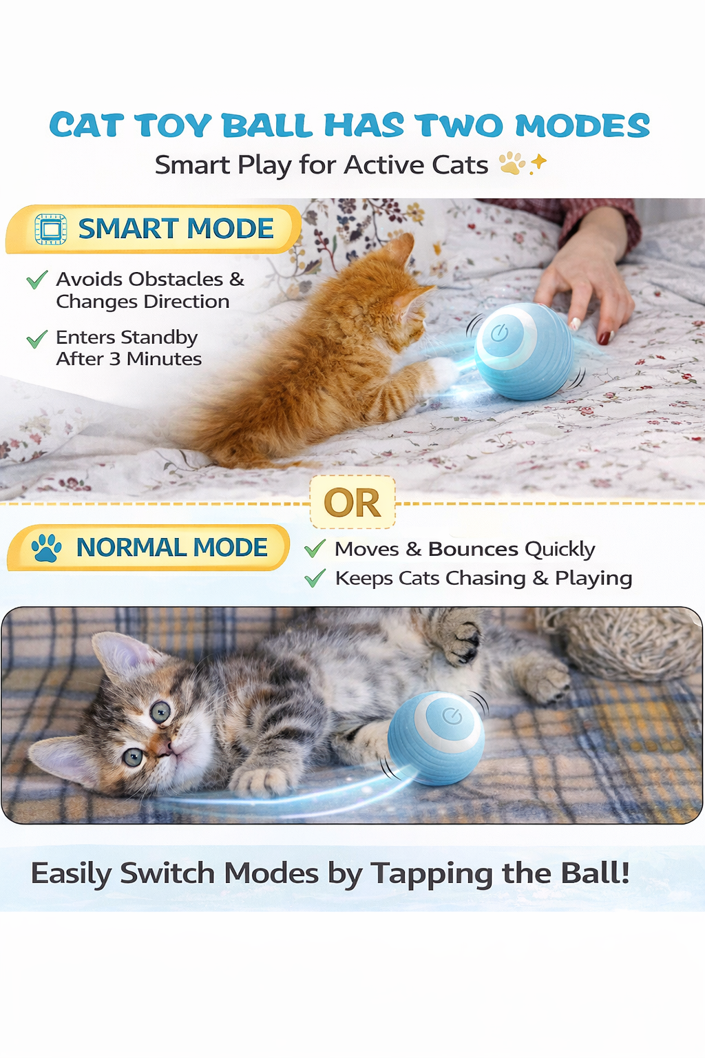 Is your pet bored at home? 
Keeps them active, chasing, and playing no effort needed.